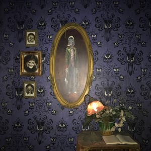 Haunted Mansion Photo from Inside The Ride    Disneyland  Art