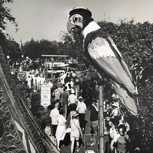 Disneyland  Enchanted Tiki Room Barker Bird Art