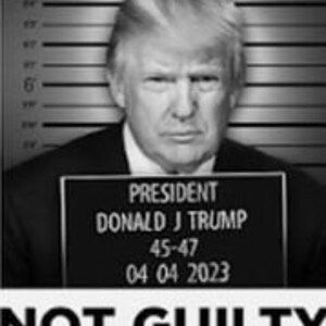 Foto policial de Trump 2023: No culpable digital