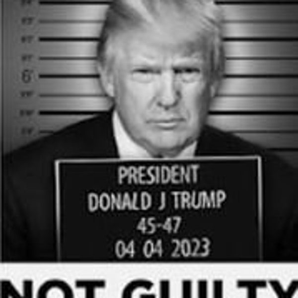 Trump Mug Shot Canvas Etsy