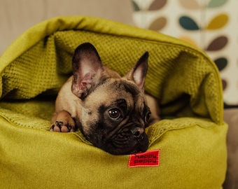 Ultra-Cozy Cave Pet Bed – Anti-Scratch, Hypoallergenic