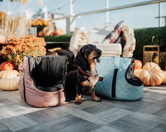 Pet Carrier – Comfortable, Stylish & Practical Travel Bag for Small Dogs and Cats