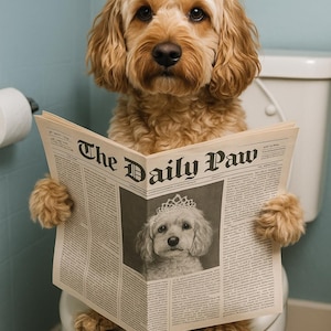 Op de afbeelding: Een gouden doodle-hond zit op een toilet en houdt een krant vast met de titel "The Daily Paw". De krant bevat een zwart-wit afbeelding van een hond met een tiara. De achtergrond is een lichtblauwe muur.