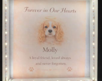 Marco iluminado conmemorativo para mascotas / Regalo personalizado para la pérdida de una mascota / Recuerdo conmemorativo para perros / Recuerdo conmemorativo para gatos / Regalo de duelo en memoria de una mascota