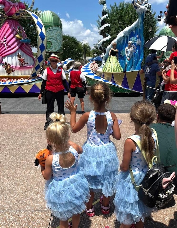 Blue princess tulle dress - kids cinderella costume - toddler girl costume outfit - park day dress - princess birthday party dress Blue princess tulle dress - kids cinderella costume - toddler girl costume outfit - park day dress - princess birthday party dress