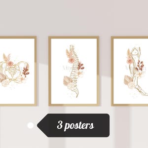 May include: Set of three framed art prints featuring gold line drawings of human anatomy, including a pelvis, spine, and foot, adorned with floral accents in peach and beige tones. The prints are displayed on a white wall.
