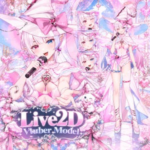 Roze Blauwe Heks Streamer Model | Kant-en-klare Live2D VTuber | VTube Studio Klaar