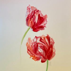 Estella Rynveld-tulpen