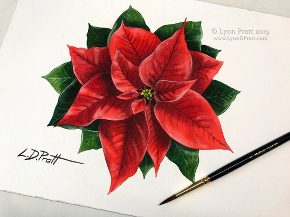 Weihnachtsstern Original Aquarellmalerei - Etsy sterreich