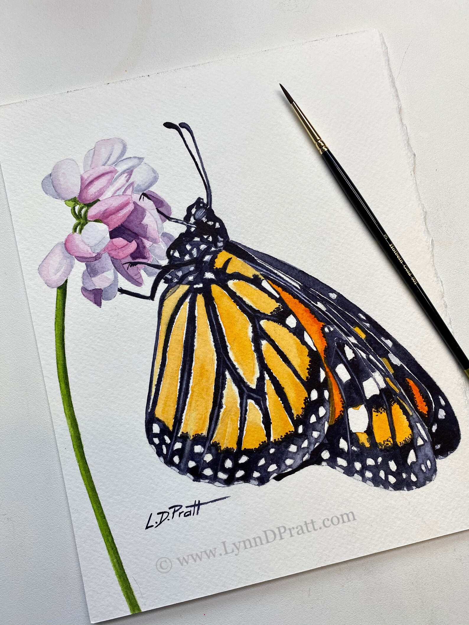 Monarch Butterfly Original Watercolor Painting - Etsy