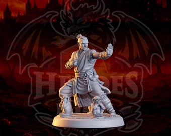 Puede incluir: Figura detallada de un artista marcial en posición de combate, vistiendo un uniforme claro. La figura está sobre una base circular con dos pequeñas estatuas de monos. El fondo presenta un emblema de dragón y la palabra "HEROES".
