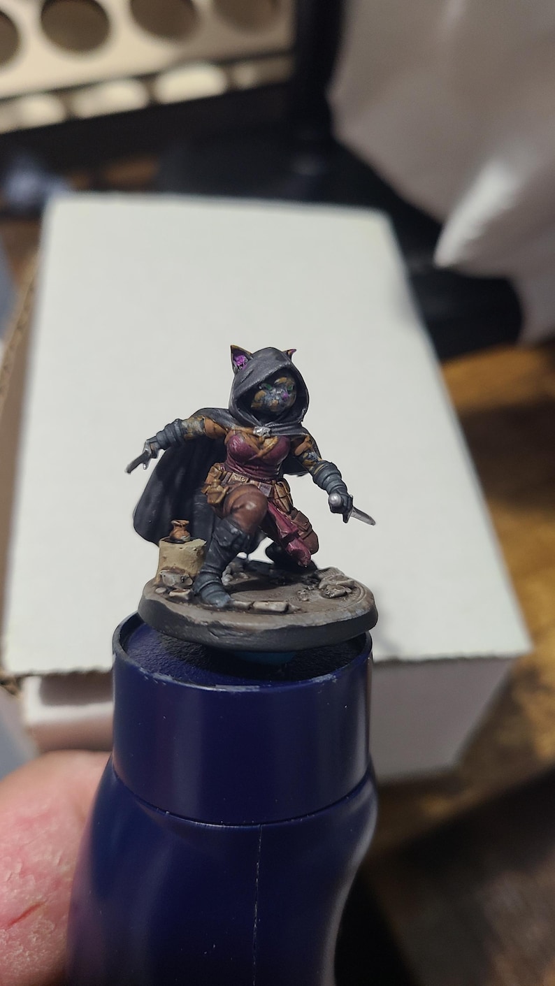 May include: A painted miniature figurine of a cat-like humanoid character wearing a dark hooded cloak, a maroon tunic, and brown trousers. The figure is in a crouched stance, holding a small silver-coloured dagger in each hand, standing on a circular base.