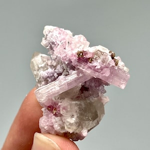 Puede incluir: Un grupo de cristales de turmalina rosa con algunas pequeñas inclusiones minerales de color marrón oscuro. Los cristales son de color rosa pálido y tienen un aspecto vítreo. La muestra se sostiene en una mano sobre un fondo gris claro.