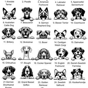 Peut inclure: Illustration en noir et blanc de 30 races de chiens, dont le Caniche, le Labrador Retriever et le Dalmatien. Chaque chien est accompagn&eacute; du nom de sa race, comme le Bouledogue fran&ccedil;ais.
