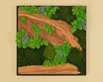 May include: Square wall art featuring a natural moss and wood design. The artwork has a black frame and incorporates various shades of green moss and a light brown wood grain pattern. The moss is arranged around the wood, creating a natural, textured appearance.