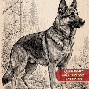 Könnte beinhalten: Schwarz-Weiß-Illustration eines Deutschen Schäferhundes in einer Waldszene. Der Hund trägt ein Halsband und eine Marke. Der Text "LASER READY PNG + TRANSP + INVERTED" ist in einem roten Banner enthalten.