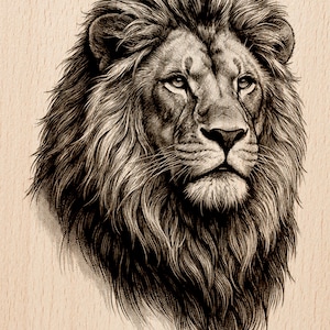 Puede incluir: Ilustración detallada en blanco y negro de la cabeza de un león con una melena completa. La imagen es un PNG listo para láser, con el texto "Burnished Lines" y "LASER READY PNG" en la parte inferior. La cara del león está centrada, con expresión neutra.