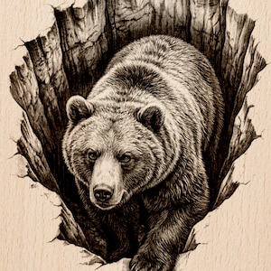 Puede incluir: Ilustración en blanco y negro de un oso saliendo de un agujero en un árbol. El pelaje del oso es texturizado. El texto "Burnished Lines" y "LASER READY PNG" está presente.