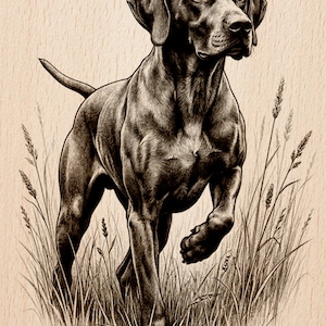 以下が含まれることがあります： 高い草の中を歩く犬の白黒イラスト。犬は動きがあり、決意した表情をしています。「Burnished Lines」と「LASER READY PNG」の文字が含まれています。