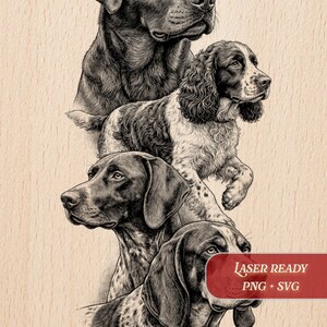 May include: A detailed black and white illustration of four different dog breeds: a Labrador, a Springer Spaniel, and two German Shorthaired Pointers. The image has a wood grain background and includes the text "Laser Ready PNG + SVG".