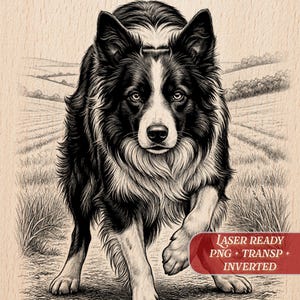 Plik do grawerowania laserowego Border Collie PNG | Podkładka z tabliczką z łupka drewnianego | Dioda CO2 Glowforge xTool | Szablon pirograficzny