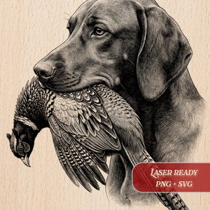 Puede incluir: Ilustración en blanco y negro de un perro sosteniendo un faisán en la boca. El pelaje del perro y las plumas del ave están detalladas. La imagen tiene un aspecto vintage, con el texto "Laser Ready PNG + SVG" y "Burnished Lines".