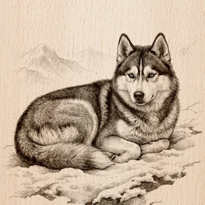 May include: A detailed pen and ink drawing of a Siberian Husky dog lying down, with a serene expression. The dog has a thick coat of black, grey, and white fur. The background features a mountain range and the text "LASER READY PNG".
