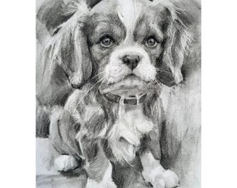 May include: A charcoal drawing of a Cavalier King Charles Spaniel puppy with a white blaze on its forehead, floppy ears, and a collar. The artwork uses varying shades of gray and black to create a realistic portrait of the dog sitting down.