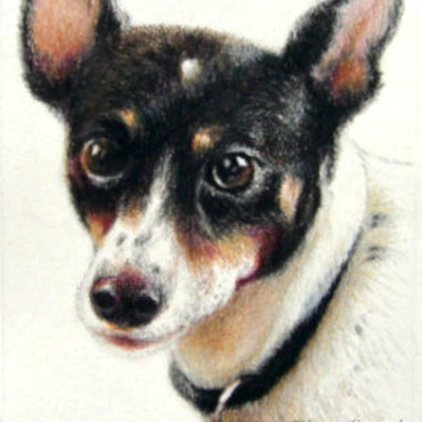Portraits d’animaux de compagnie personnalisés - Miniatures originales au crayon de couleur - 4 » x 6 » ou 5"x 5 » - Beaux-arts pour les amoureux des animaux de compagnie, chiens. Chats