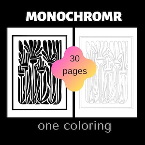 Könnte beinhalten: Ein Schwarz-Weiß-Malbuch mit floralem Design. Das Buch trägt die Aufschrift "MONOCHROMR" und "one coloring". Eine rosa-gelbe Form in der Mitte zeigt "30 Seiten". Die linke Seite zeigt ein fertiges Design, und die rechte Seite zeigt die Umrisse.
