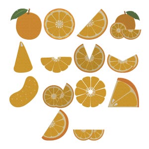 Op de afbeelding: Een verzameling illustraties van sinaasappels met hele vruchten met groene bladeren, dwarsdoorsneden, partjes en individuele segmenten. De afbeeldingen tonen een getextureerd, oranje oppervlak met witte details die het vruchtvlees weergeven.