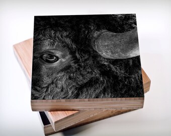 Eye of the Bison// Black and White, Buffalo print, Nature Photography, Nature Art Print, Great Plains