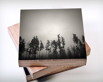 Outdoors//Nature//Foggy woods photoblock - Into the woods