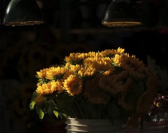 2x2 Shine on market sunflowers