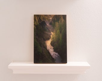 South Fork Skokomish River, Washington State