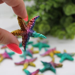 Rainbow Bismuth Starfish