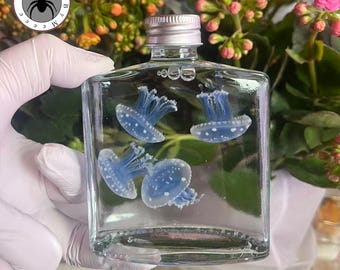 Real Papua Jellyfish Wet Specimen Set of 4 Flat Glass Bottles Preserved Ocean Curiosity Decor Handmade Gift