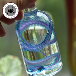 Peut inclure: Une bouteille en verre transparente avec un motif en spirale bleu et violet à l'intérieur. La bouteille est tenue par une main, et l'arrière-plan est vert flou. La bouteille porte un logo rond avec une araignée et le texte "The Shop By Meece".