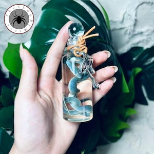 May include: A clear glass bottle containing a small blue snake submerged in liquid. The bottle is sealed with a spherical glass stopper and features a tan leather cord tied around the neck, adorned with a silver-toned metal charm shaped like an eye.