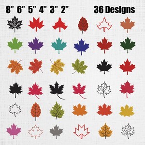 May include: A collection of 36 maple leaf designs in various colors and styles. The leaves range in size from 2 to 8 inches. The image includes the text "36 Designs" and size measurements.