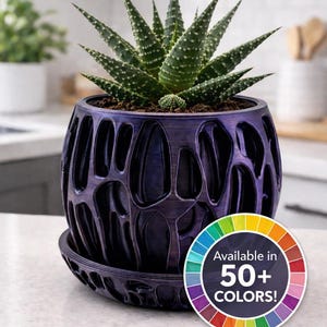 May include: A dark purple, textured planter with a matching saucer holds a green succulent plant. The planter has an open, organic design. The image includes a color wheel graphic that says "Available in 50+ COLORS!"