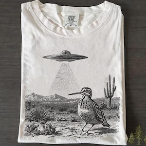 May include: Cream-colored t-shirt featuring a black and white graphic of a desert scene with a bird, a cactus, and a UFO beaming a light down. The shirt has a Comfort Colors tag.