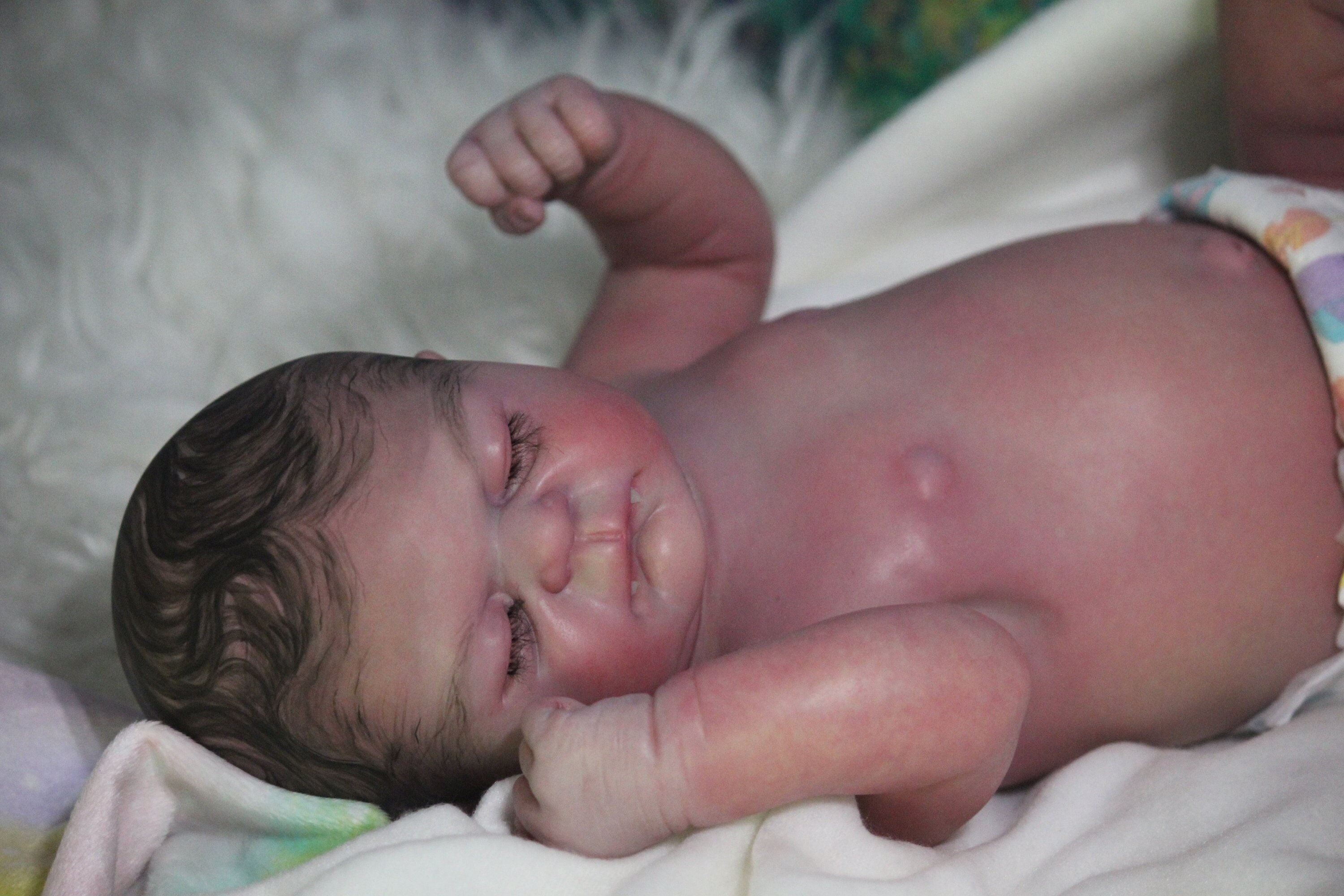 twisted beanstalk nursery etsy