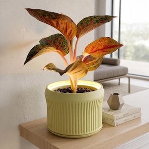 Jarrón con luz LED para plantas