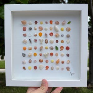 May include: A square white shadow box frame containing a grid of various small seashells and sea glass pieces arranged in rows and columns against a white background. The collection includes diverse shapes, textures, and colors like orange, white, and brown.