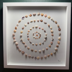 May include: A framed artwork displaying a spiral pattern of seashells. The shells, in tones of beige, brown, and cream, are arranged on a white canvas. The artwork is enclosed in a white frame, offering a neat and stylish presentation.