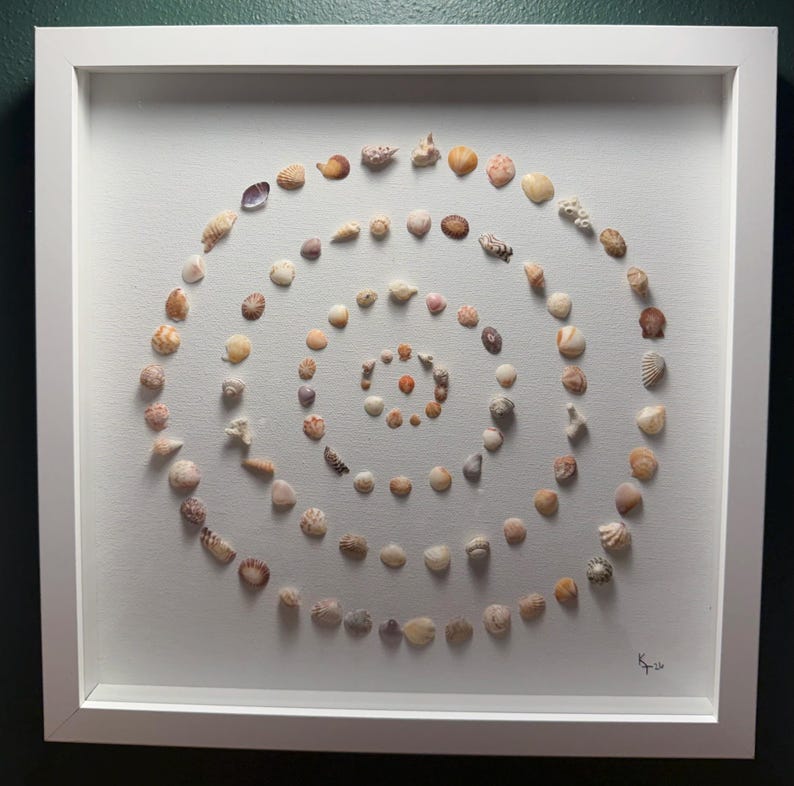 May include: A framed artwork displaying a spiral pattern of seashells. The shells, in tones of beige, brown, and cream, are arranged on a white canvas. The artwork is enclosed in a white frame, offering a neat and stylish presentation.