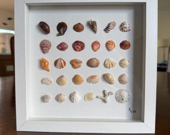 Warm colors gradient shell art - framed. 8x8 inches