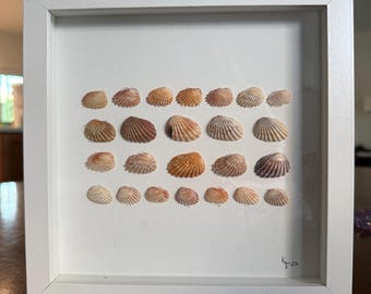 Warm colors shell art in pattern - framed. 8x8 inches