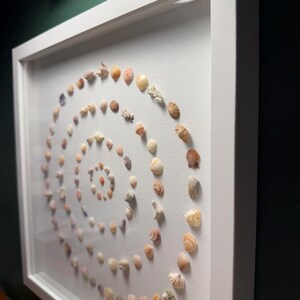 May include: A white framed artwork displaying a spiral pattern of seashells in beige, tan, and orange hues. The shells are arranged on a white canvas, encased within a white wooden frame, offering a coastal aesthetic.